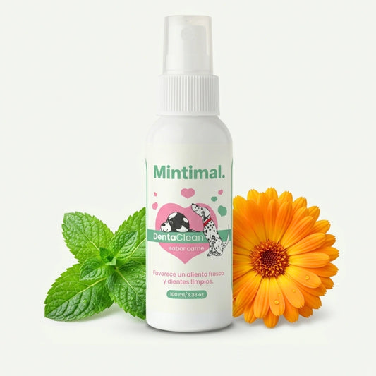 Mintimal® Spray Dental Avanzado para Perros